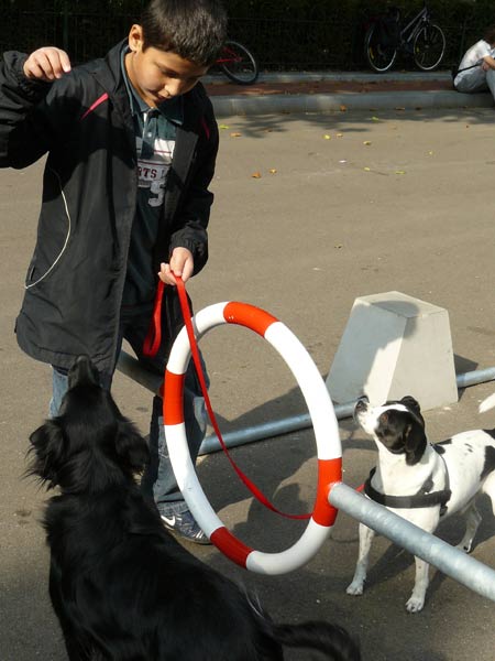 dogs-at-droog-citydog3.jpg