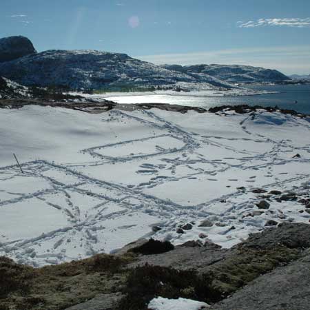 fantastic-norway-before2.jpg