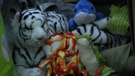 animals_16x9.jpg