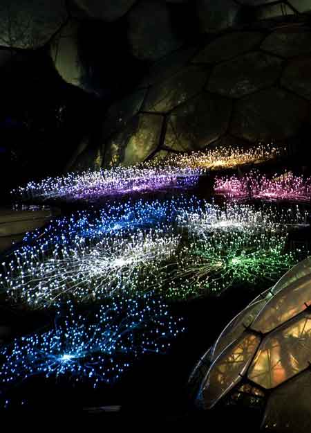 eden-installation-by-munro.jpg