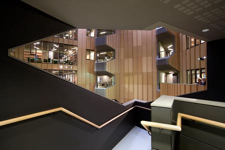 hedley-bull-by-lyon-architects-23.jpg