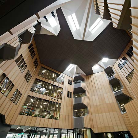 hedley-bull-by-lyon-architects-3.jpg