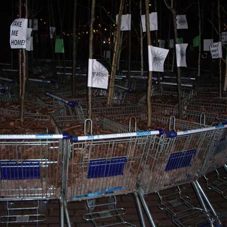 movingforest-13.jpg