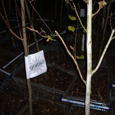 movingforest-3.jpg