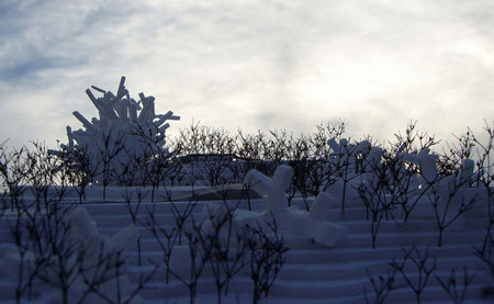 huaxi-city-centre-by-mad-and-others-sou_fujimoto_03.jpg