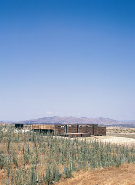 olisur-olive-oil-factory-by-gh-a-architects-4.jpg