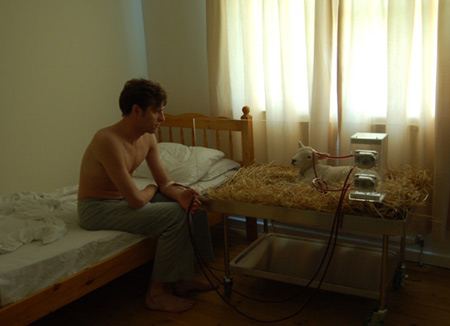 revital-cohen-sitting.jpg