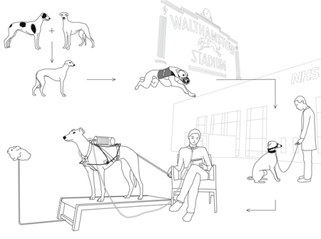 revital-cohen-ventilation-dog_graph.gif