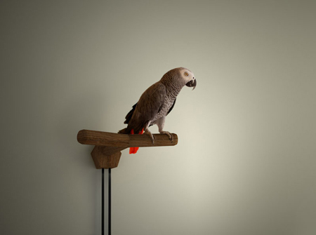 darom-lamp-art.jpg