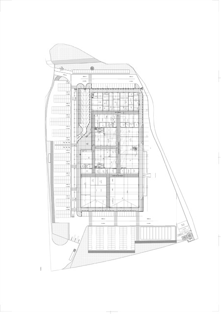 planta-0.jpg