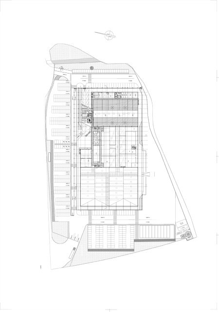 planta-1.jpg