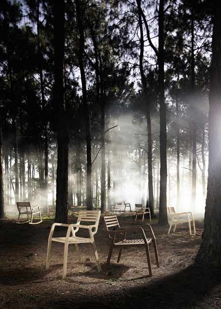 plantation041.jpg