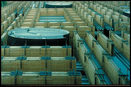 pritzker-prize015.jpg