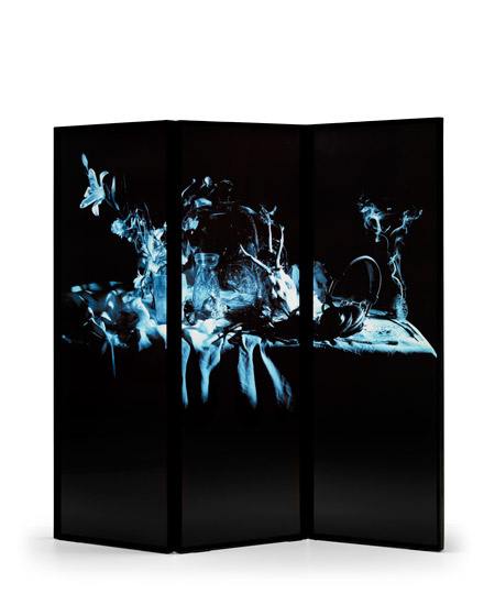 xraydio-3-natura-morta_01.jpg