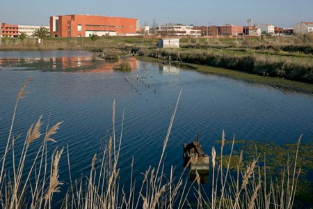 duccio-malagamba-photographs-alvaro-siza-aveiro-university-library-3.jpg