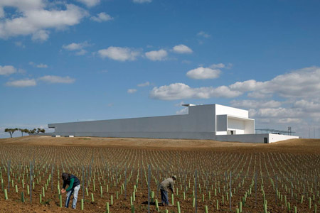 duccio-malagamba-photographs-alvaro-siza-mayor-wine-cellar-3.jpg
