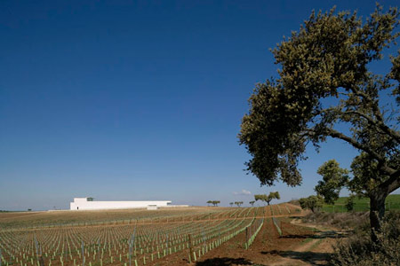 duccio-malagamba-photographs-alvaro-siza-mayor-wine-cellar-4.jpg