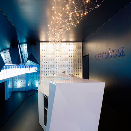 greygoose5.jpg