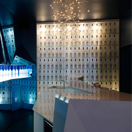 greygoose6.jpg
