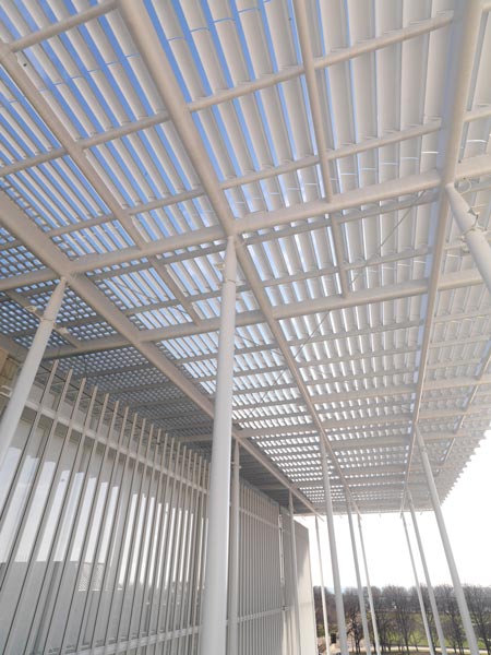 modern-wing-at-the-art-institute-of-chicago-by-renzo-piano-carpet_above_garden.jpg