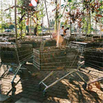 nl-architects-moving-forest.jpg