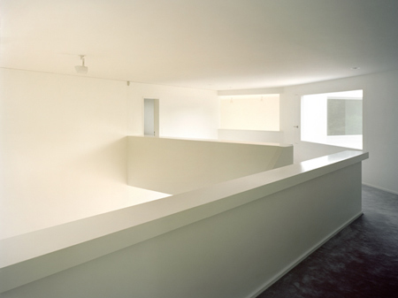 house-in-binningen-by-luca-selva-architects-04.jpg