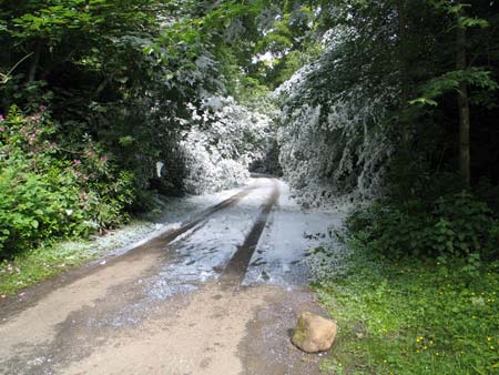 midsummer-snowstorm-by-peter-liversidge_iimg_3789.jpg