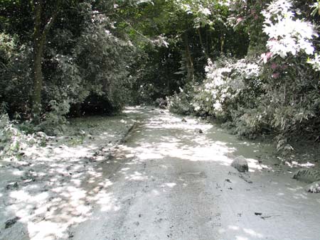 midsummer-snowstorm-by-peter-liversidge_iimg_3799.jpg