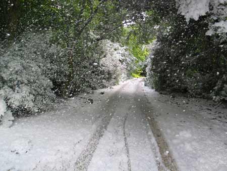 midsummer-snowstorm-by-peter-liversidge_iimg_3898.jpg