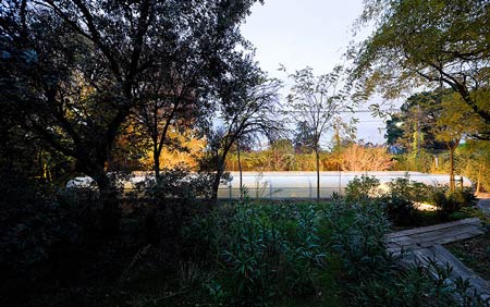 office-in-the-woods-by-selgascano-217.jpg