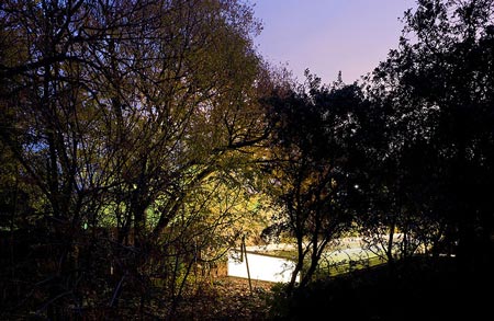office-in-the-woods-by-selgascano-219.jpg