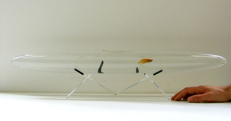 amauryaquarium3.jpg