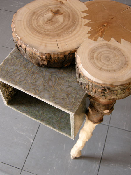 christmastreecapello11.jpg