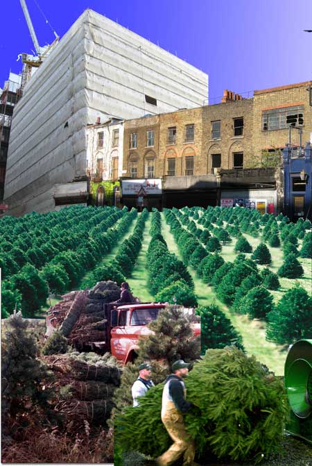 christmastreecapello3.jpg
