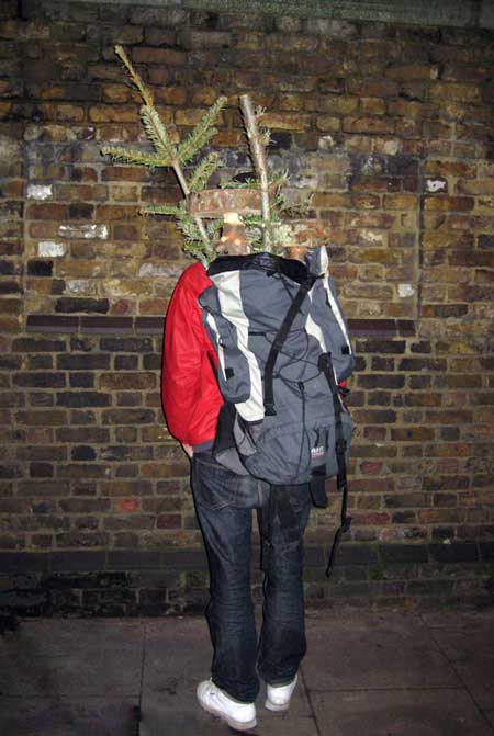 christmastreecapello7.jpg