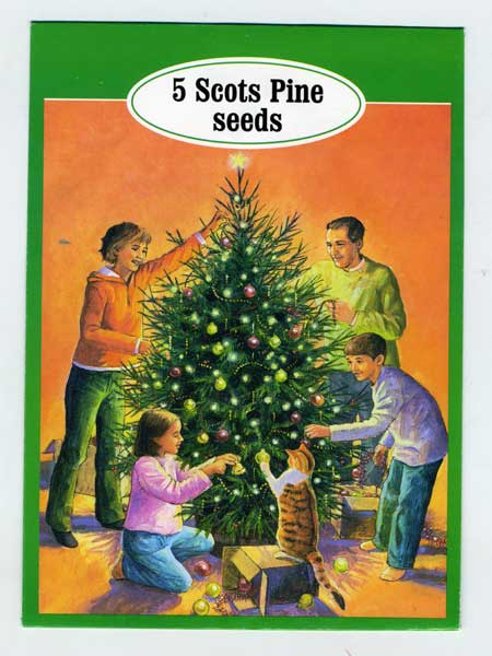 christmastreecapello8.jpg