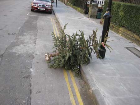 christmastreecapello9.jpg