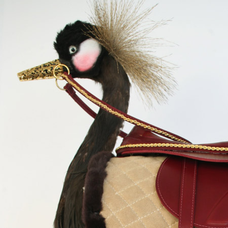 fuck-you-and-the-horse-you-rode-in-on-by-kelly-mccallum-1.jpg