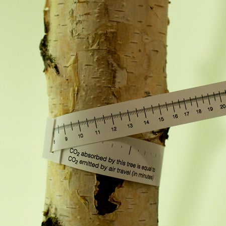 measuring-tape-for-children.jpg