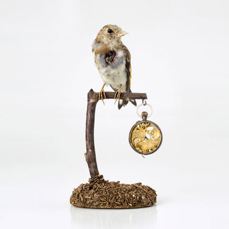 new-work-by-kelly-mccallum-14.jpg