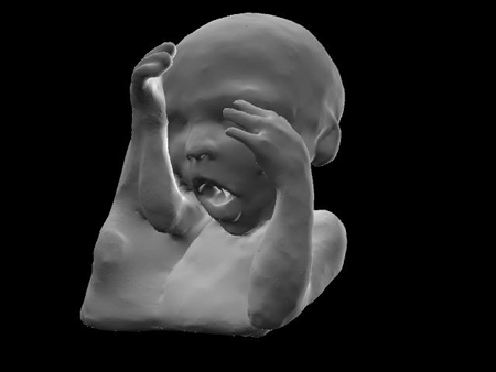 the-fetus-project-by-jorge-lopes-dos-santos-13.jpg