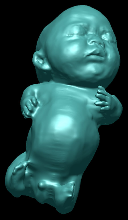 the-fetus-project-by-jorge-lopes-dos-santos-24.jpg
