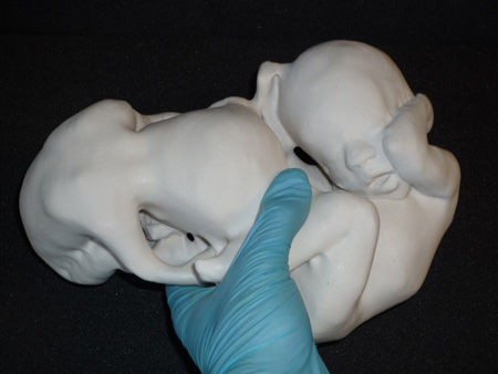 the-fetus-project-by-jorge-lopes-dos-santos-32.jpg