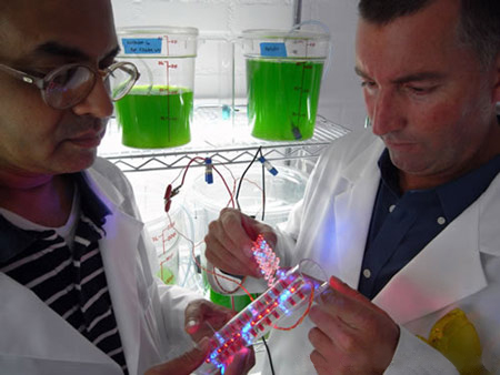flower-street-bioreactor-by-emergent-10a.jpg