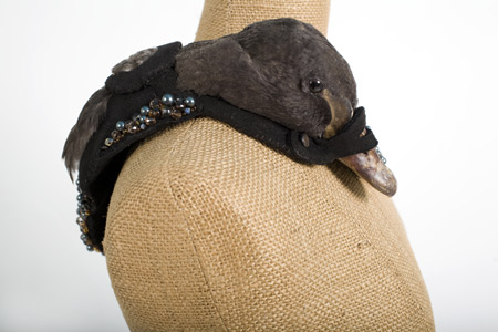 taxidermy-by-idiots-19.jpg
