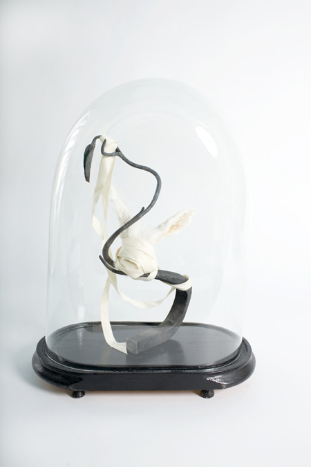 taxidermy-by-idiots-23.jpg