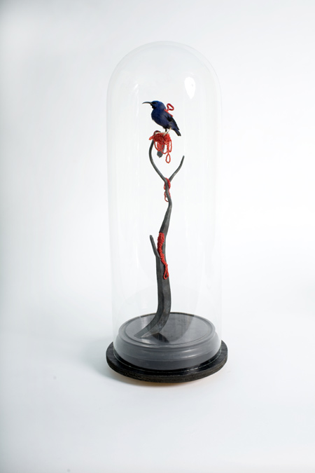 taxidermy-by-idiots-29.jpg