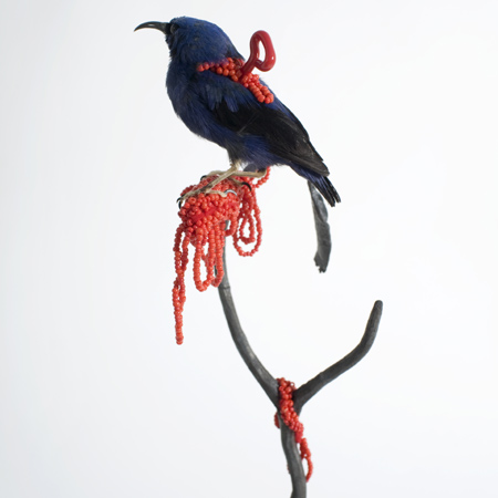 taxidermy-by-idiots-42.jpg