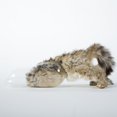 taxidermy-by-idiots-55.jpg