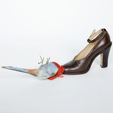 taxidermy-by-idiots-57.jpg